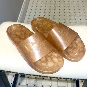 Coach Slides